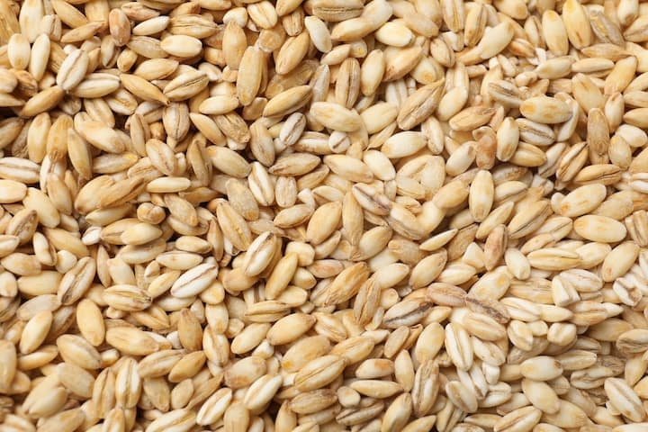 Barley